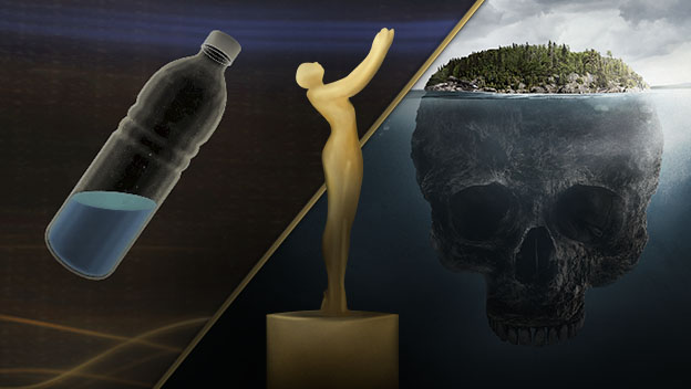 Multiple Promax Finalists