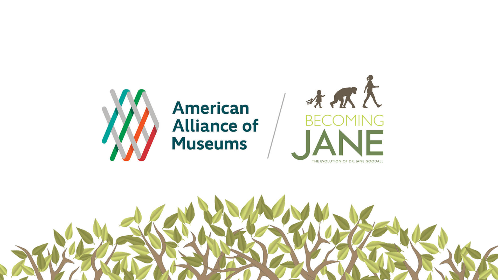 Jane Goodall Exhibition Wins AAM's Top Award!